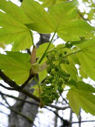 Bild_3; 133818