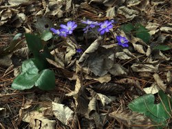 Bild_3; 133843