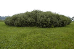 Bild_2; 202351
