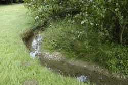 Bild_3; 202828