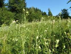 Bild_3; 204245