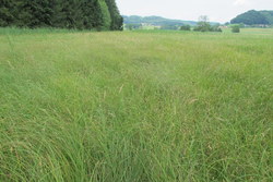 Bild_2; 205918