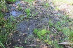 Bild_2; 206243