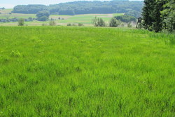 Bild_1; 206289