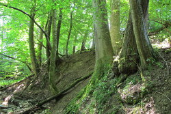 Bild_3; 206924