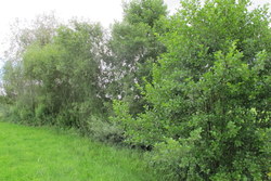 Bild_2; 206964