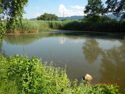 Bild_1; 207440