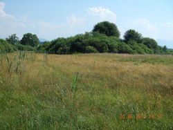 Bild_1; 207922