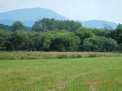 Bild_1; 208046