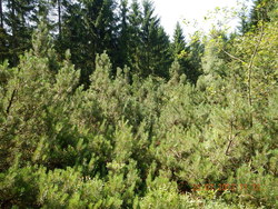 Bild_3; 208174