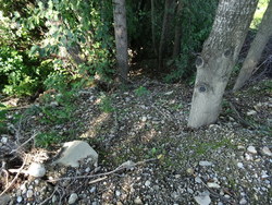 Bild_3; 210184