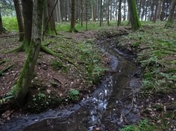 Bild_2; 210347