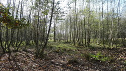Bild_2; 210990