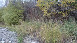 Bild_2; 211098