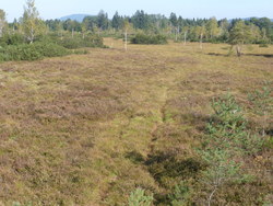 Bild_1; 212166