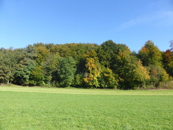 Bild_1; 212195