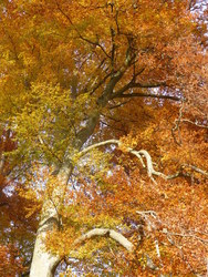 Bild_3; 212225
