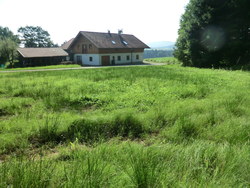 Bild_1; 212871