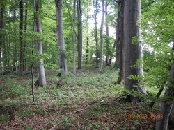 Bild_2; 212948