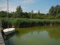 Bild_1; 222054