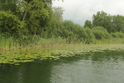 Bild_1; 223155