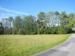 Bild_1; 227263