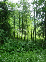 Bild_2; 229895