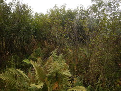 Bild_3; 231372