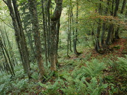 Bild_2; 231518