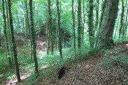 Bild_2; 231581