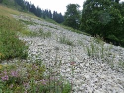 Bild_2; 232734