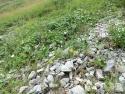 Bild_3; 232736