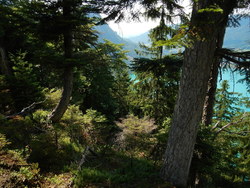 Bild_2; 233418