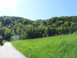 Bild_1; 235602