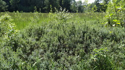 Bild_3; 236943
