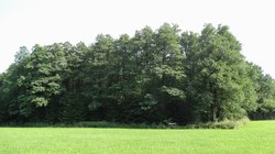 Bild_1; 237085