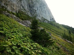 Bild_1; 237987