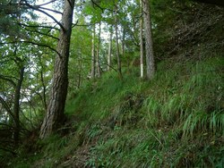 Bild_2; 238163