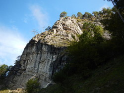 Bild_1; 238249