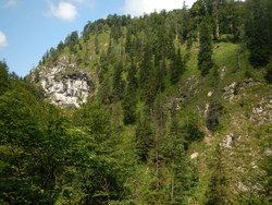 Bild_1; 238338