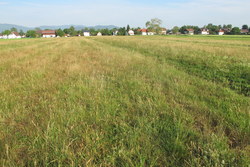 Bild_1; 238458