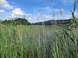 Bild_3; 245489