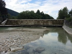 Bild_2; 245597