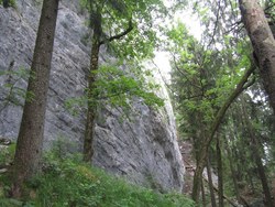 Bild_2; 247756