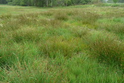 Bild_2; 248302