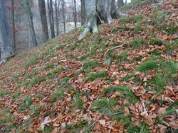 Bild_3; 249370