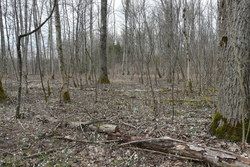 Bild_2; 249589
