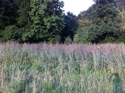 Bild_2; 249992