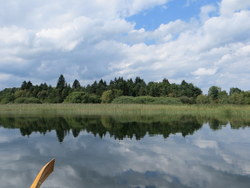 Bild_3; 251327