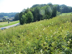 Bild_1; 251839